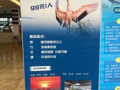 -盐城丹顶鹤湿地生态旅游区