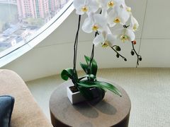 -北京康莱德酒店
