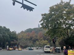 -杭州半山国家森林公园