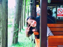 -黄海国家森林公园