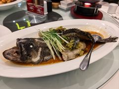 -万龙洲海鲜(大兴绿地缤纷城店)