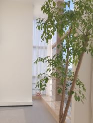 -JNK皮肤管理中心