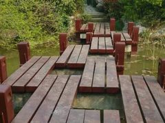 -桃花岛景观公园