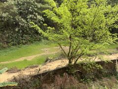 -区海鸡场饭店(石壁店)