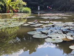 -曼听御花园
