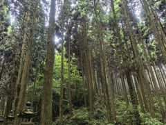 -上色见熊野座神社