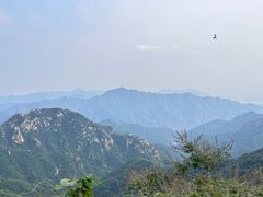 -大岭沟猕猴桃谷风景区