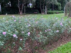 -人民公园(罗湖区)