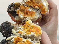-品鲜村农家菜·阳澄湖大闸蟹(总店)