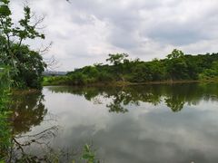 -盘龙城国家考古遗址公园