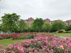 -浙江大学(海宁国际校区)