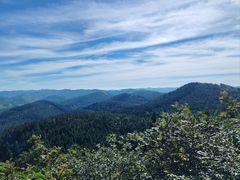 -武陵山森林公园