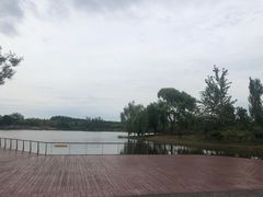 -东郊湿地公园