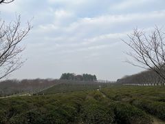 -凤凰沟景区