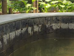 -南宫温泉水世界