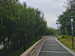 -立新湖公园