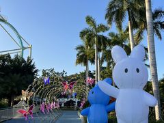 -三亚红色娘子军演艺公园景区