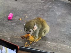 -西安秦岭野生动物园
