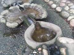 -成都市活水公园