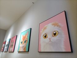 -洗脸猫·洗脸吧