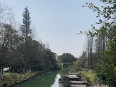 -三垟湿地