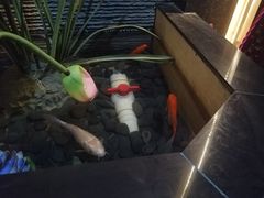 -大桶大足浴(江桥店)