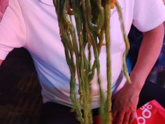 -秦君宝手擀菠菜面(金花路店)