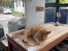-随柳居·苏式小吃(建新巷店)
