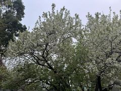 -石峰岩寺