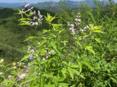 -蟠龙山长城景区
