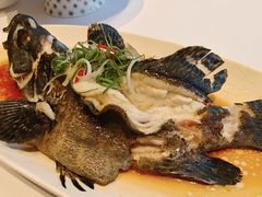 -鱼翅楼·津派砂锅鱼翅(水上公园店)