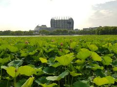 -东华大学(松江校区)