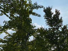 -永定河休闲森林公园