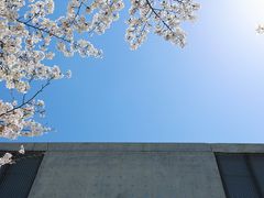 -龙美术馆(西岸馆)