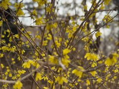 -阿大排档(长春这有山店)