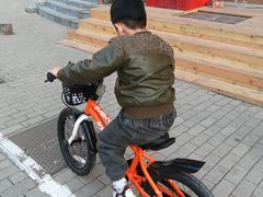 -道路口单车爱瓦士dahon大行