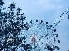 -花博汇(知音花月夜)