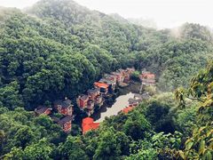 -南山植物园