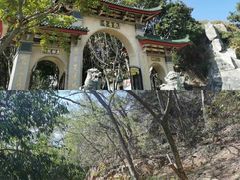 -仙岳公园