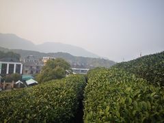 -听风阁农家私房菜茶楼(龙坞店)
