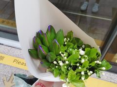 -双季花艺园艺市场(浦东店)