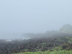 -涉地可支
