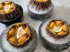 -连鹭海鲜·海肠捞饭·海胆饭(星海店)