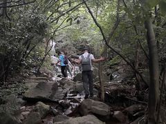 -东白山