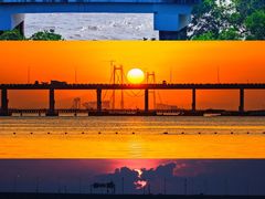 -宝安西湾红树林湿地公园