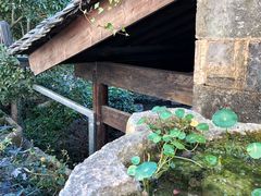 -塔川景区