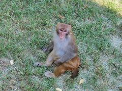 -大连森林动物园