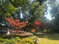 -申粤轩酒楼·三十年粤菜经典(丁香花园店)