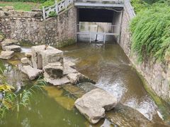 -葛仙湖公园
