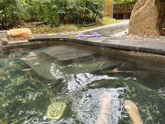 -万象温泉景区